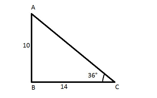 A Tree That Is 10 Yards Tall And Casts A Shadow 14 Yards Long. Find The Angle Of Elevation From The - Brainly.com