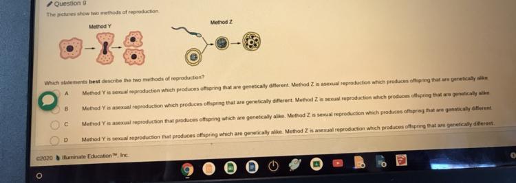 Timed! Which Statement Best Describes The Two Methods Of Reproduction (30 Points!) (Picture Included) - Brainly.com