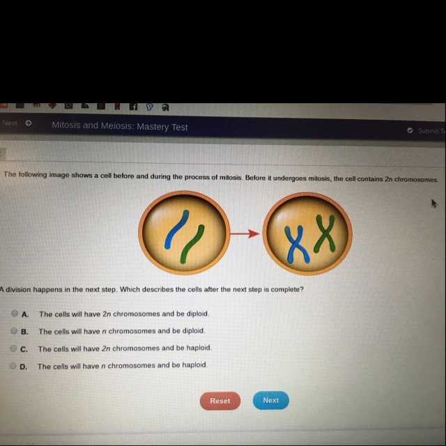 the following image shows a cell before and during the process of