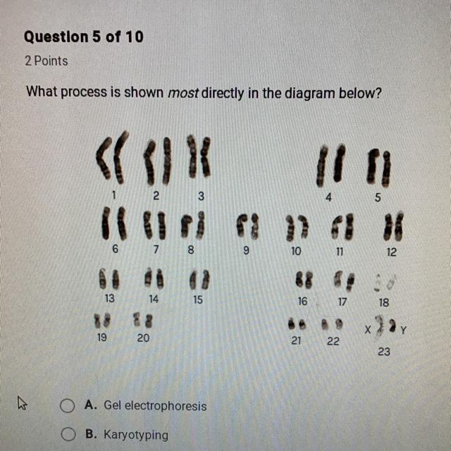 What process is shown most directly in the diagram