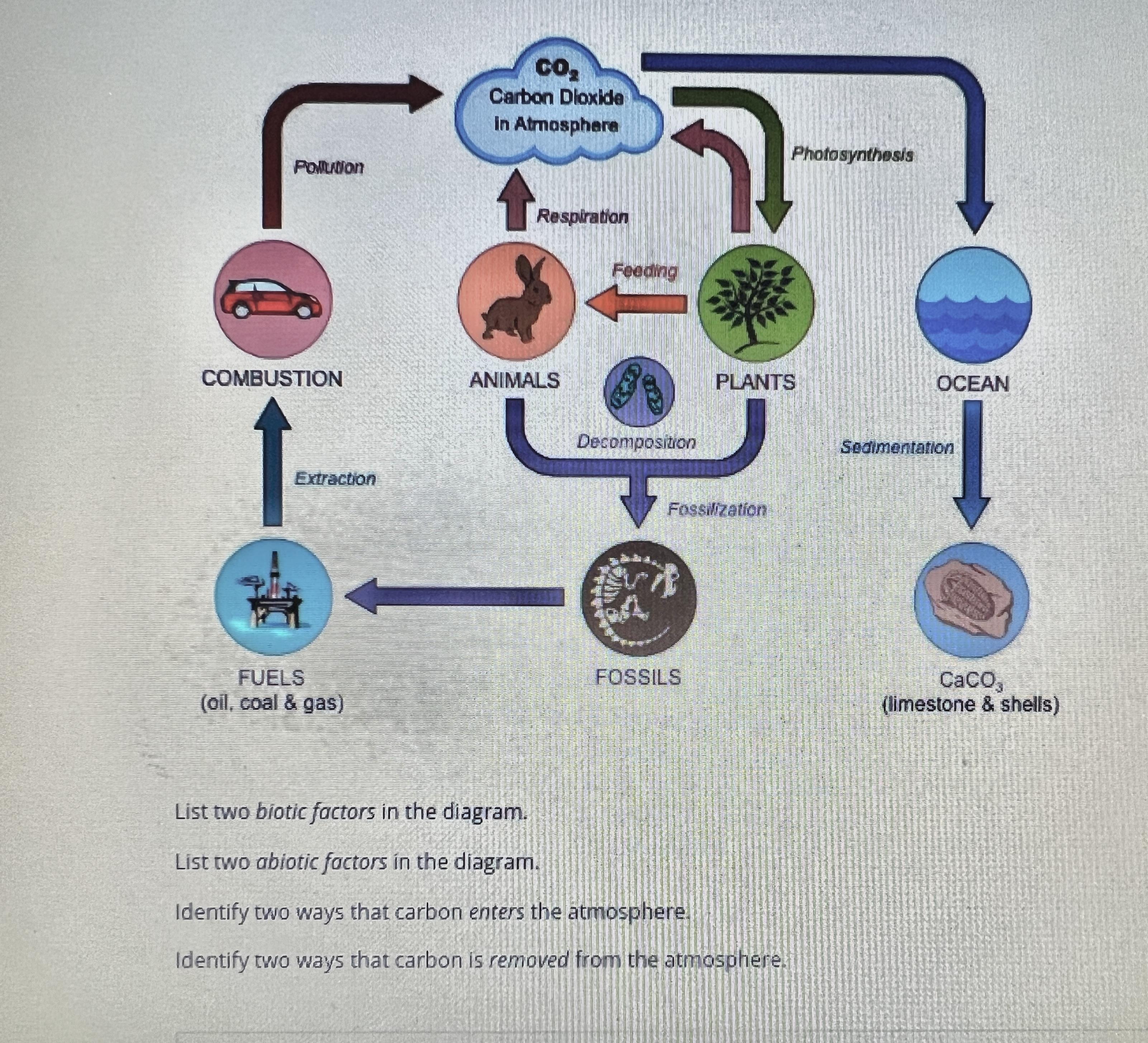List 2 biotic factors in the diagram. List 2 abiotic factors in the