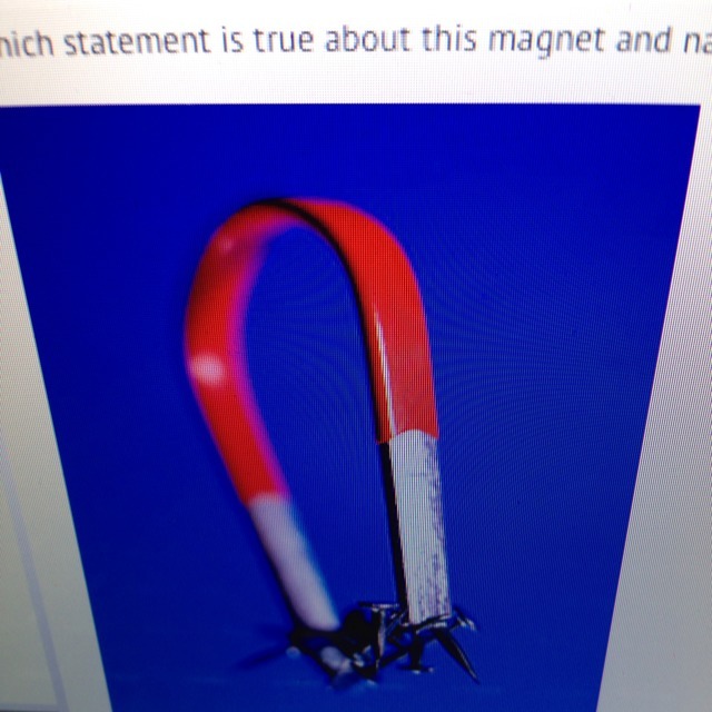 Which Statement Is True About This Magnet And Nails? A. Both The Magnet And The Nails Are Permanent - Brainly.com