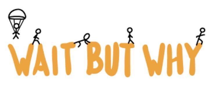 Fire Safety In Woodland Areas Means: A. Not Using Matches B. Never Building Fire. C. Using Only Camp - Brainly.com