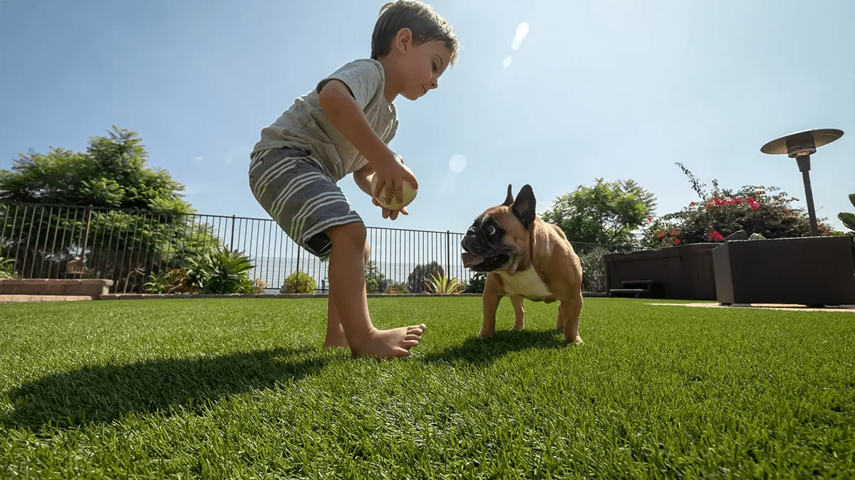 Perfect Pet Turf Artificial Grass for Dogs US Turf