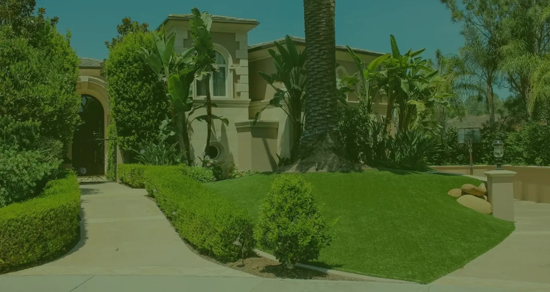 Experience Premium Artificial Turf in Orange County