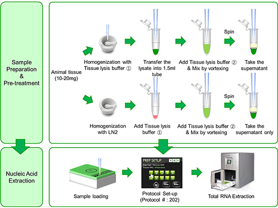 Lysis Buffer Recipe For Rna Extraction Deporecipe.co