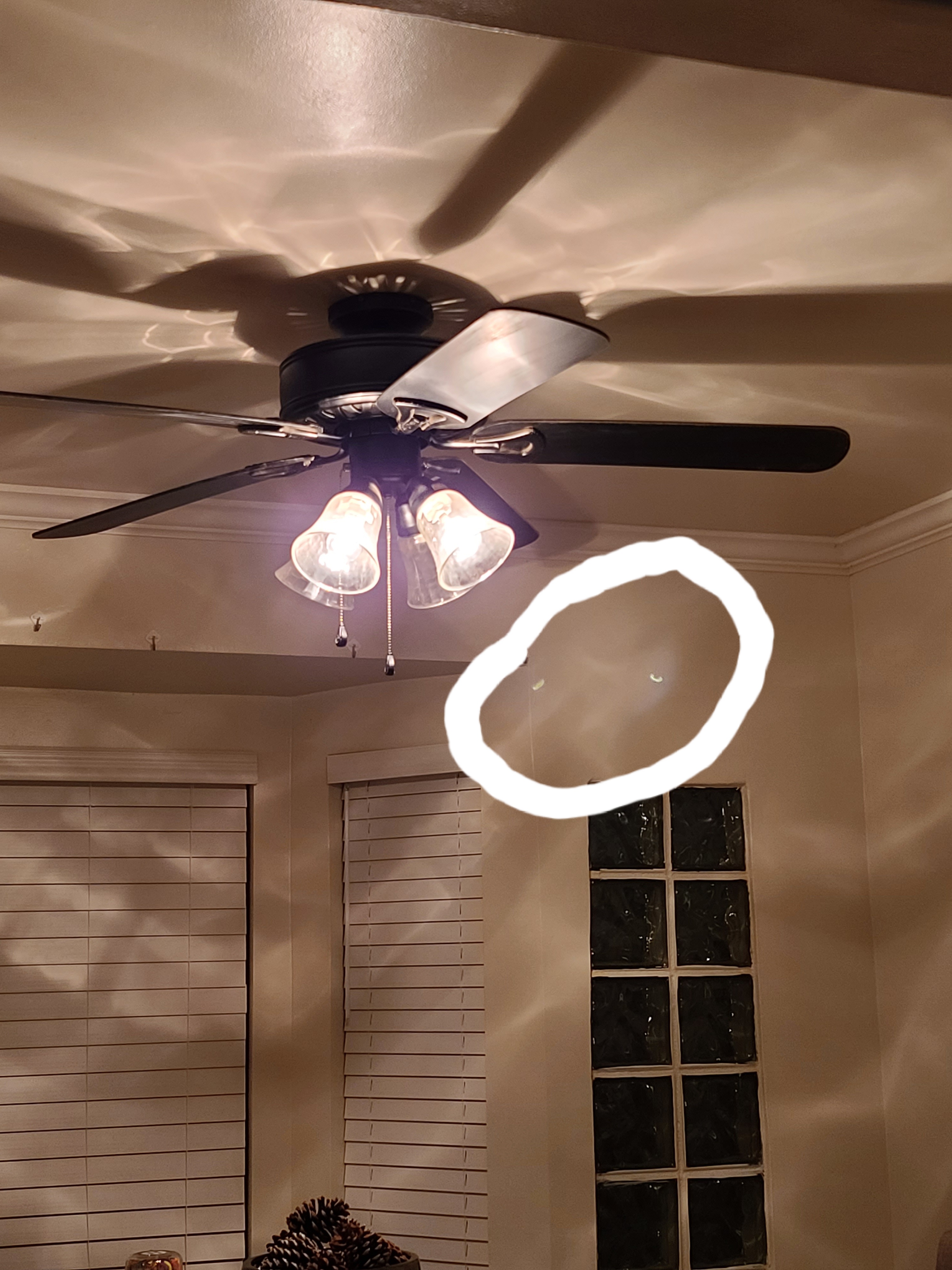 camera glitch Samsung Community 1190225