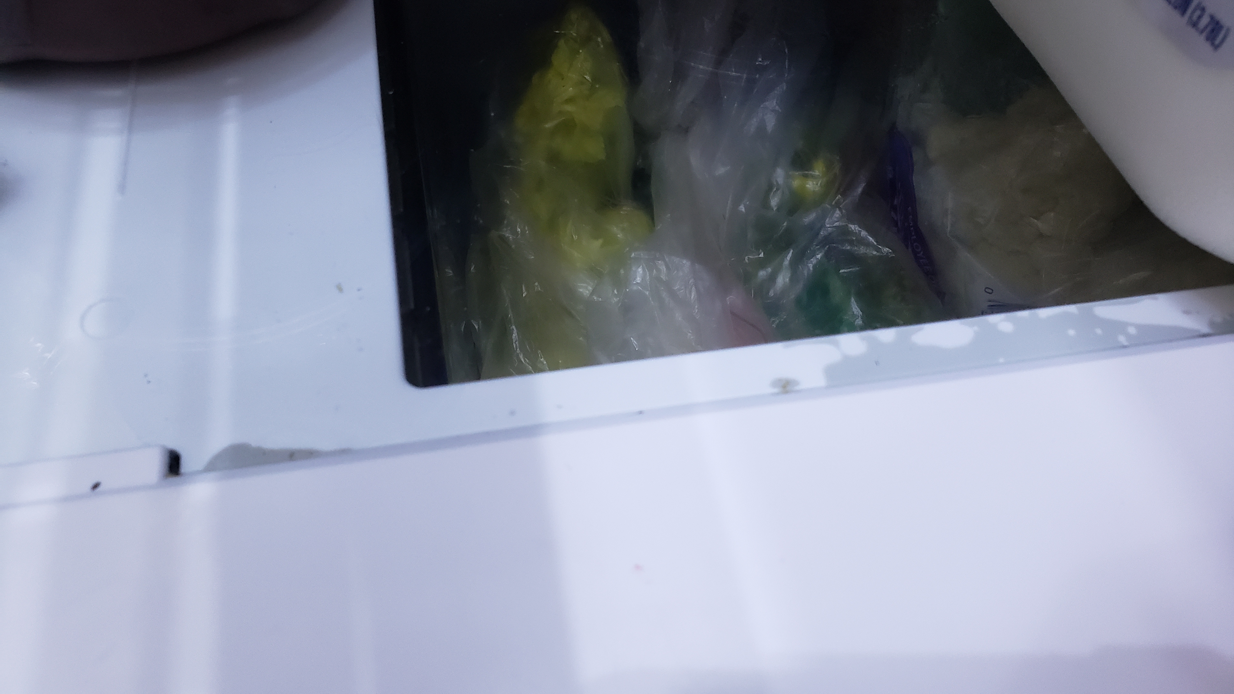Solved Refrigerator Water Under the Crisper Drawers Samsung