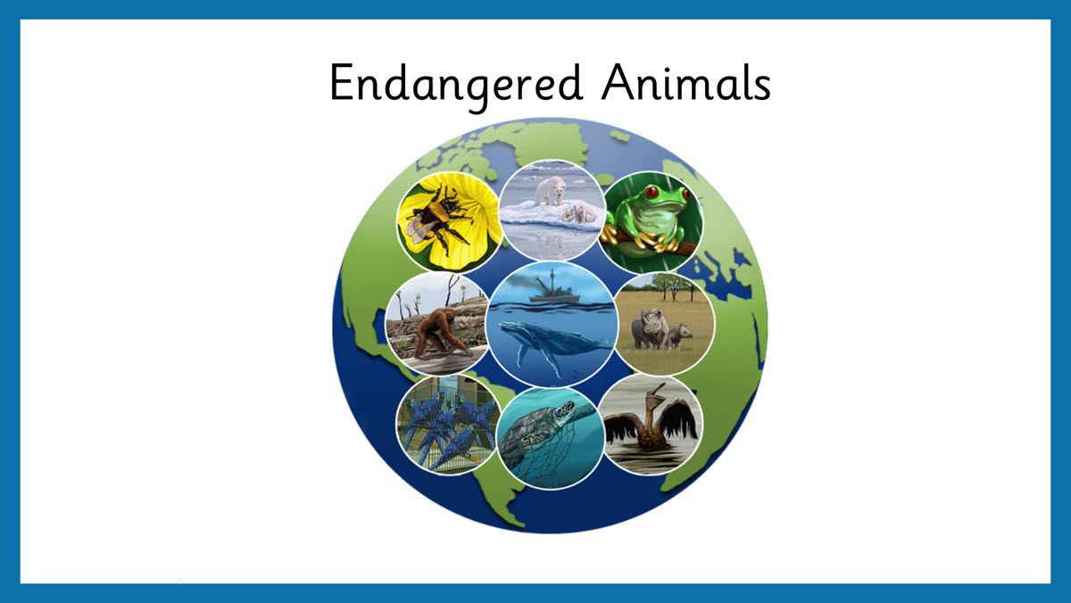 Learning about endangered animals with Clicker Crick Software US