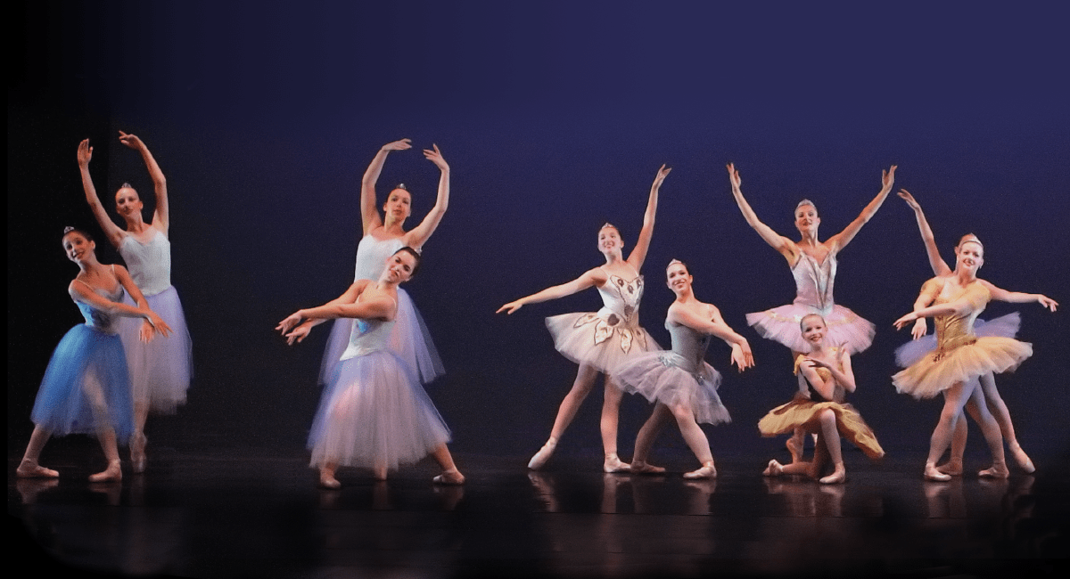 Marley Dance Floor DoubleSided Harlequin Reversible Harlequin Floors