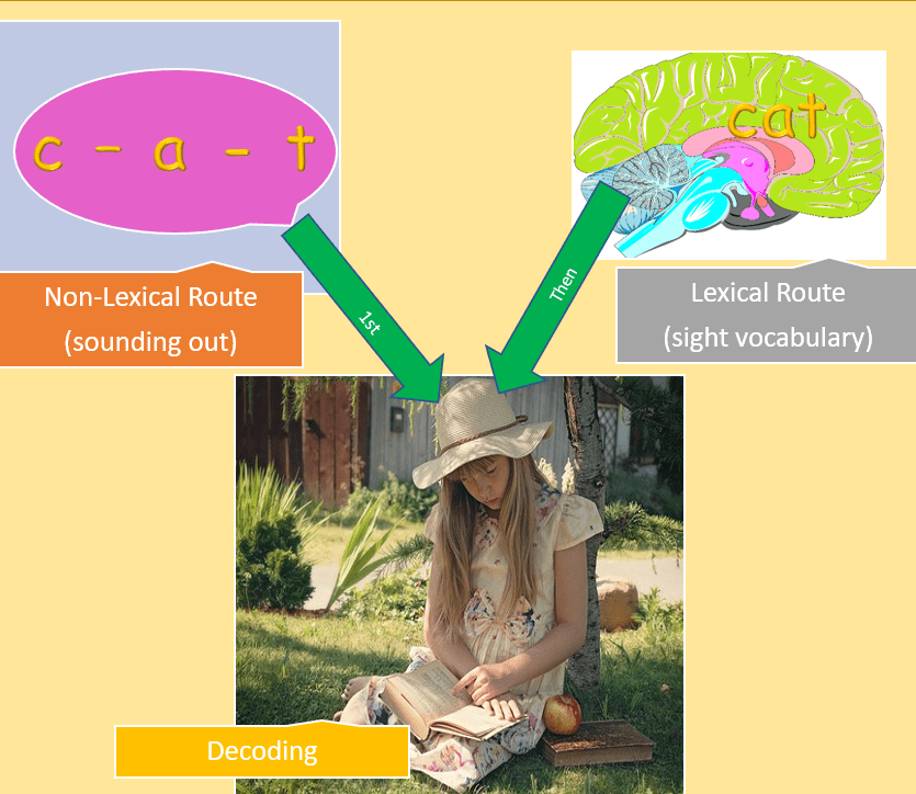 Unsightly Sight Words - Jocelyn Seamer Education