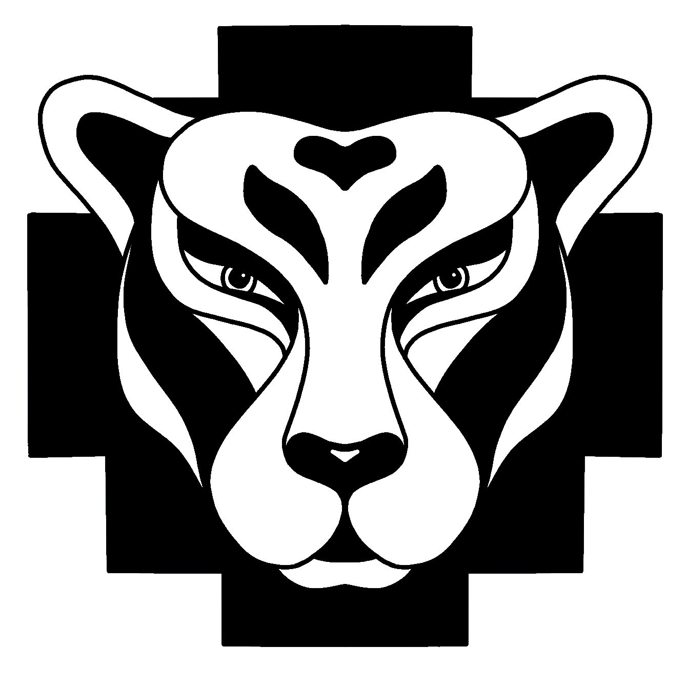 Shaman Certification / Shaman From Gateway Disc Sports Professional