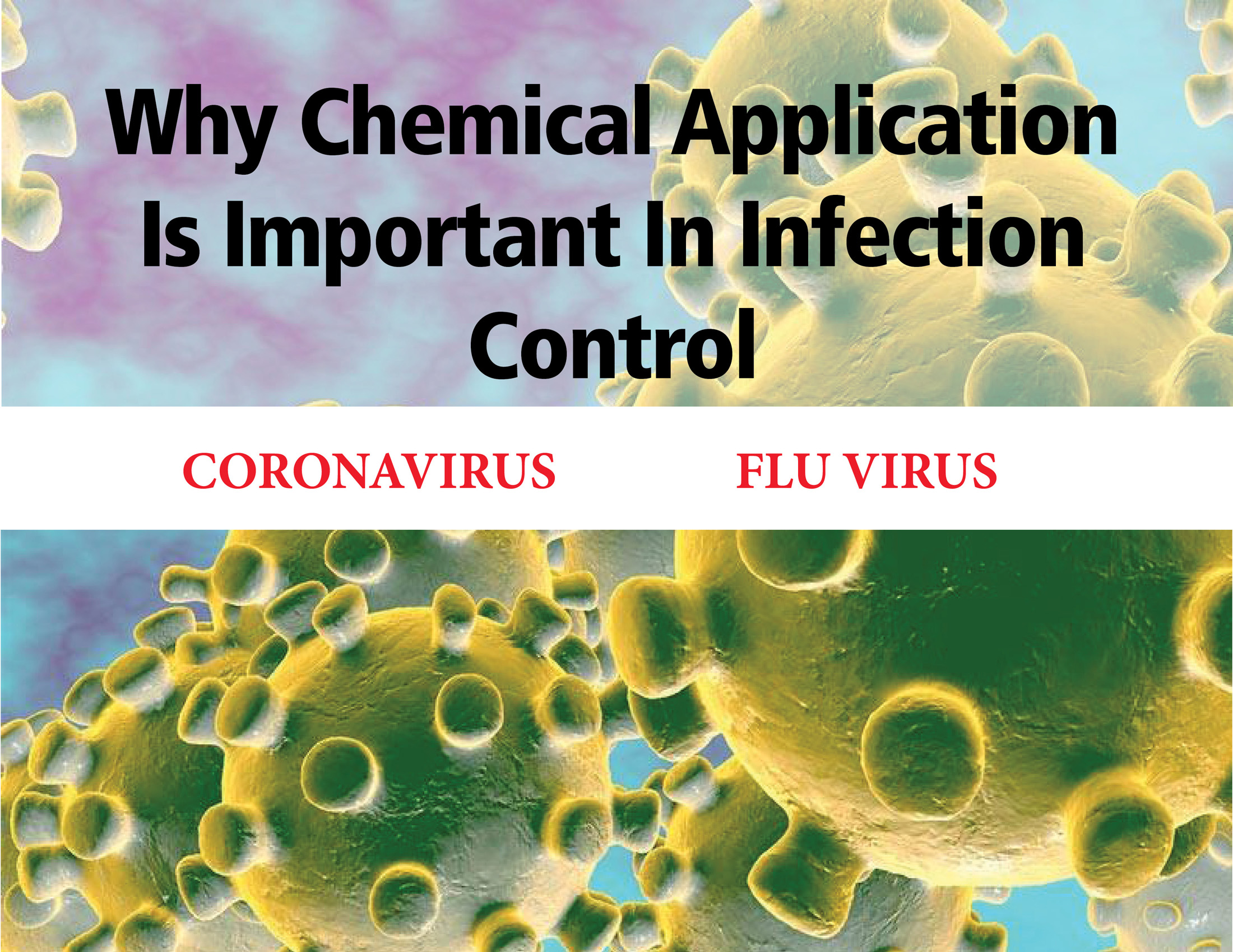 Why Chemical Application is Important in Infection Control Solo