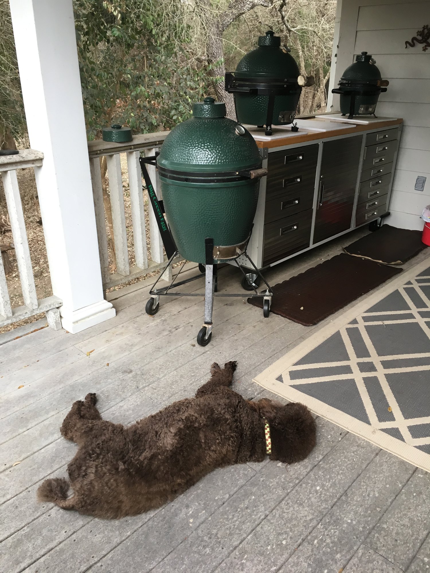 The Activated Charcoal Food Trend? — Big Green Egg EGGhead Forum