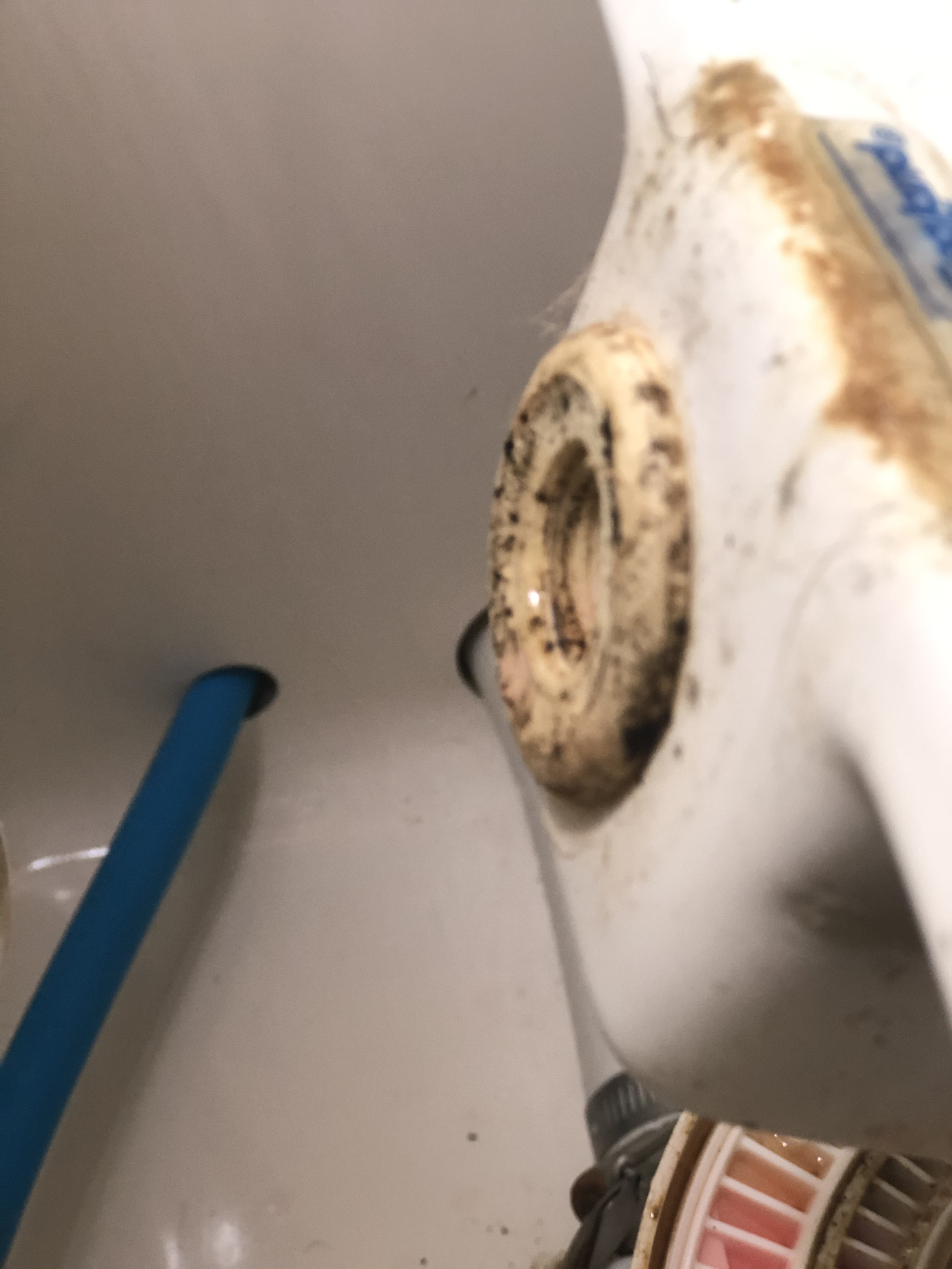 Vacuflush Vacuum Breaker — Rinker Boat Company