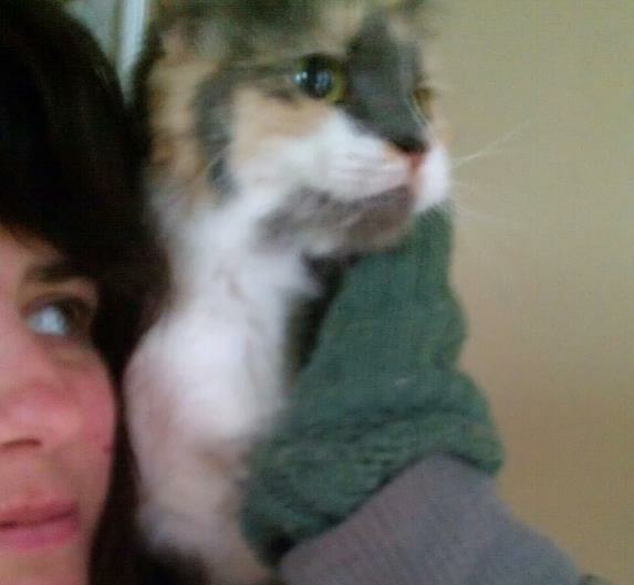 Clingy pets before labor??? — The Bump