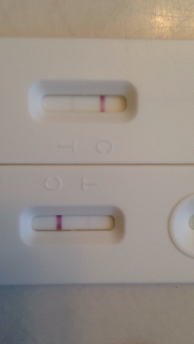 What does a positive pregnancy test really look like?? Page 18 — The Bump