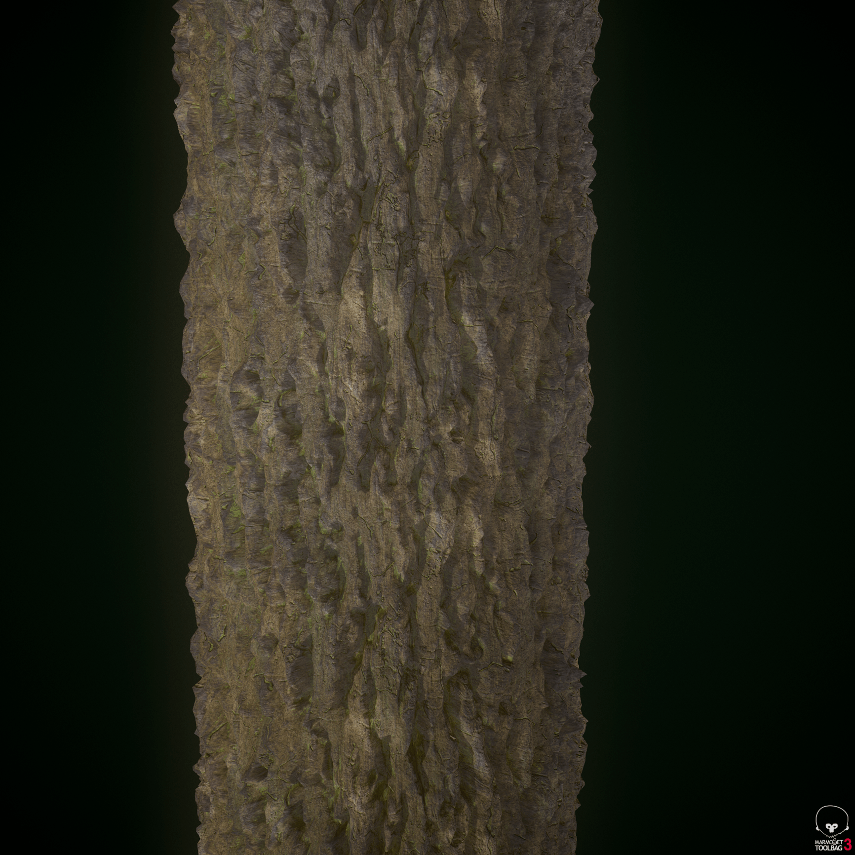 Tree bark Substance Designer material — polycount