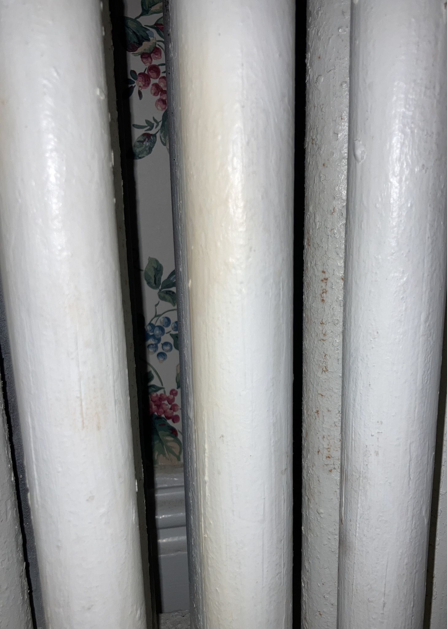 Burning Smell from Steam Radiator — Heating Help The Wall