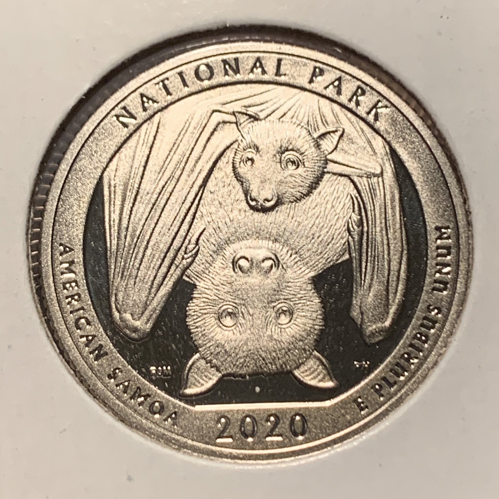 Fruit bat quarters are trending on Twitter — Collectors Universe