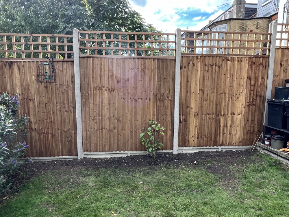 North facing border planting ideas — BBC Gardeners' World Magazine