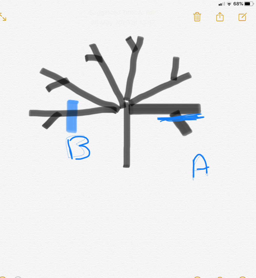 Pruning....which ways do stems grow back — BBC Gardeners' World Magazine