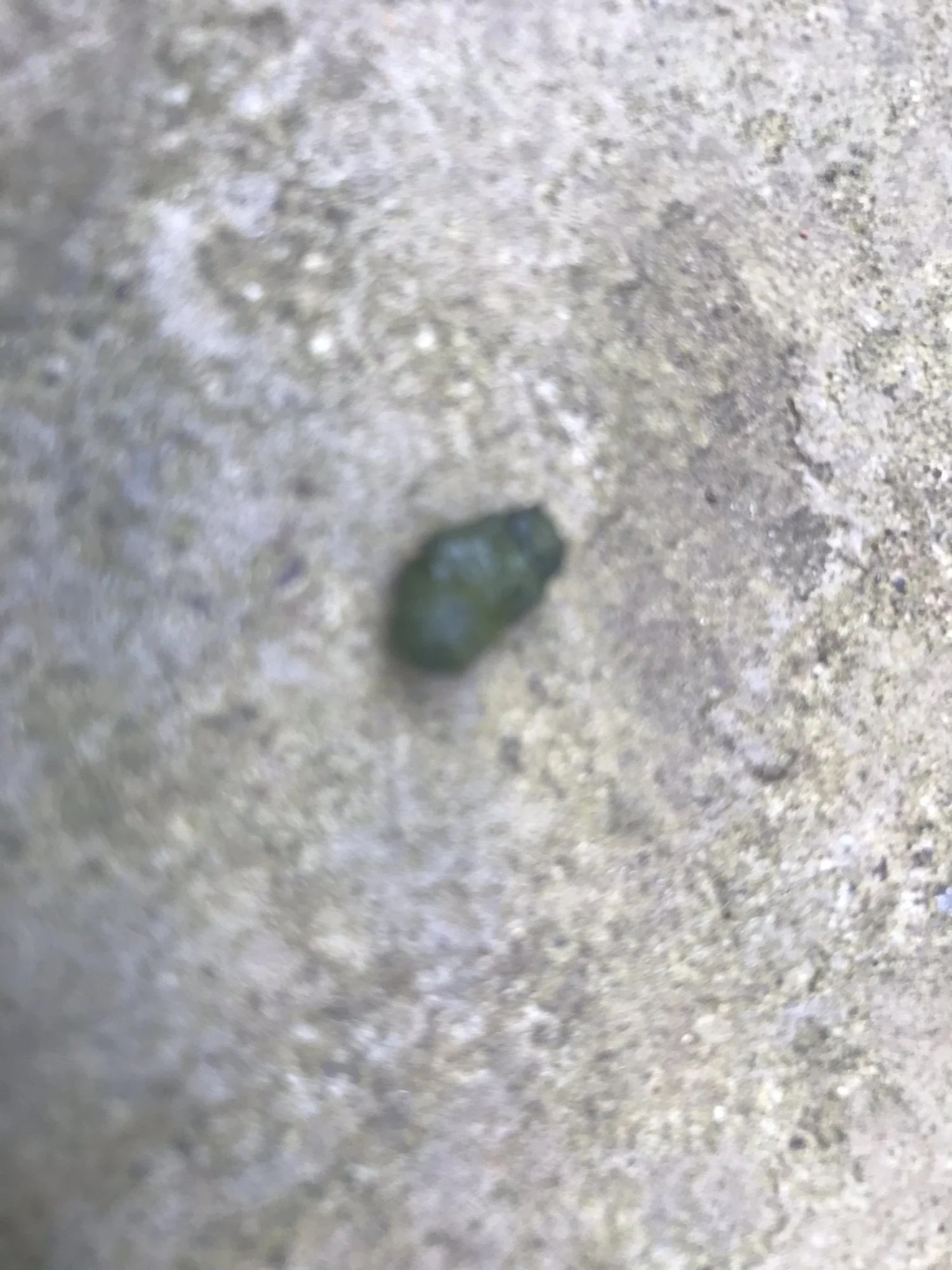 Green poop noredliving