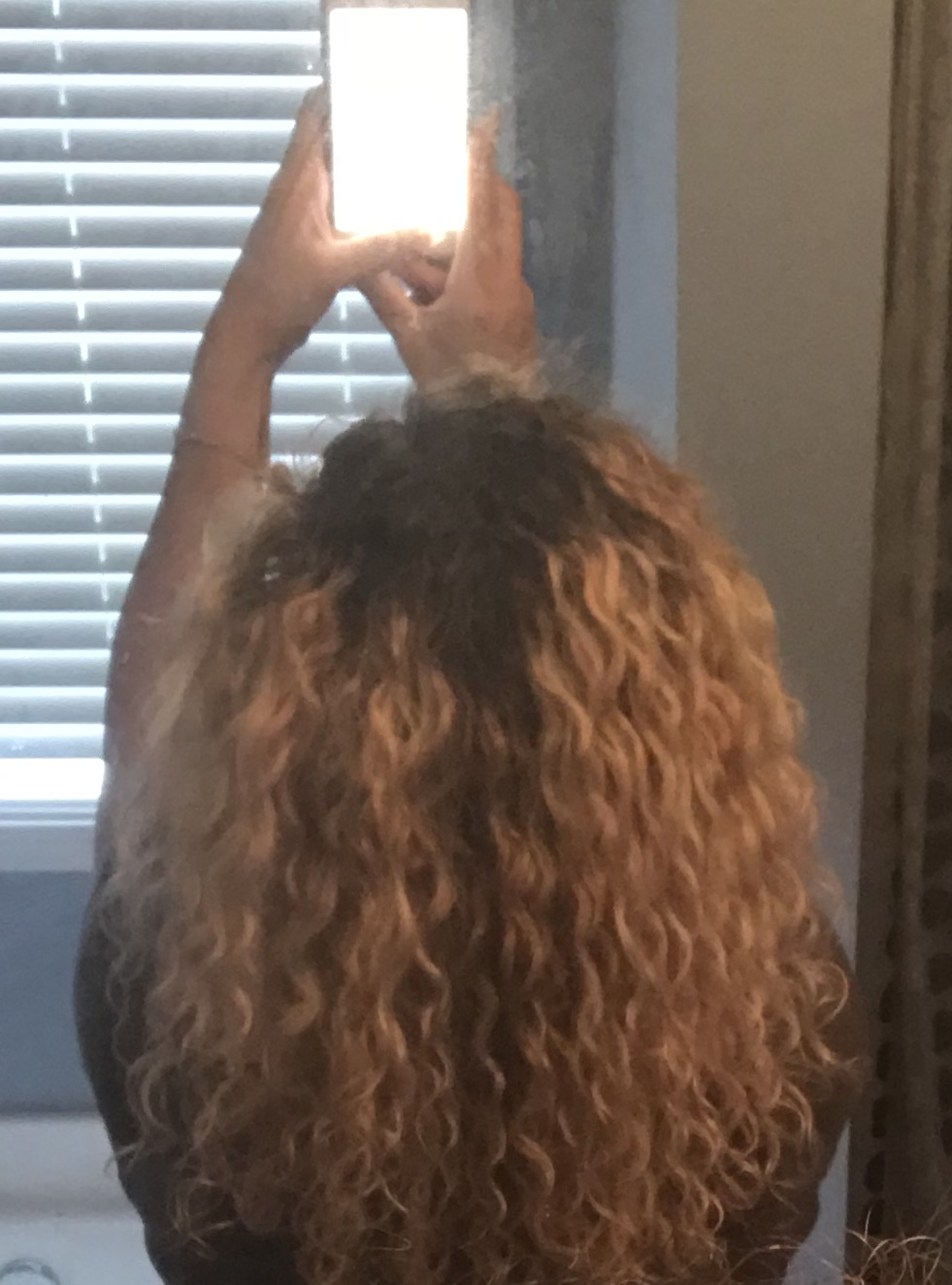 Hair type? Bleach damage — CurlTalk
