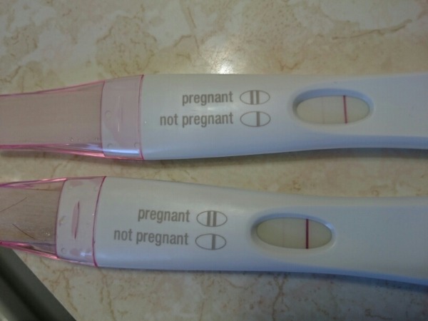 First Response Digital Test Taken Apart pregnancy test