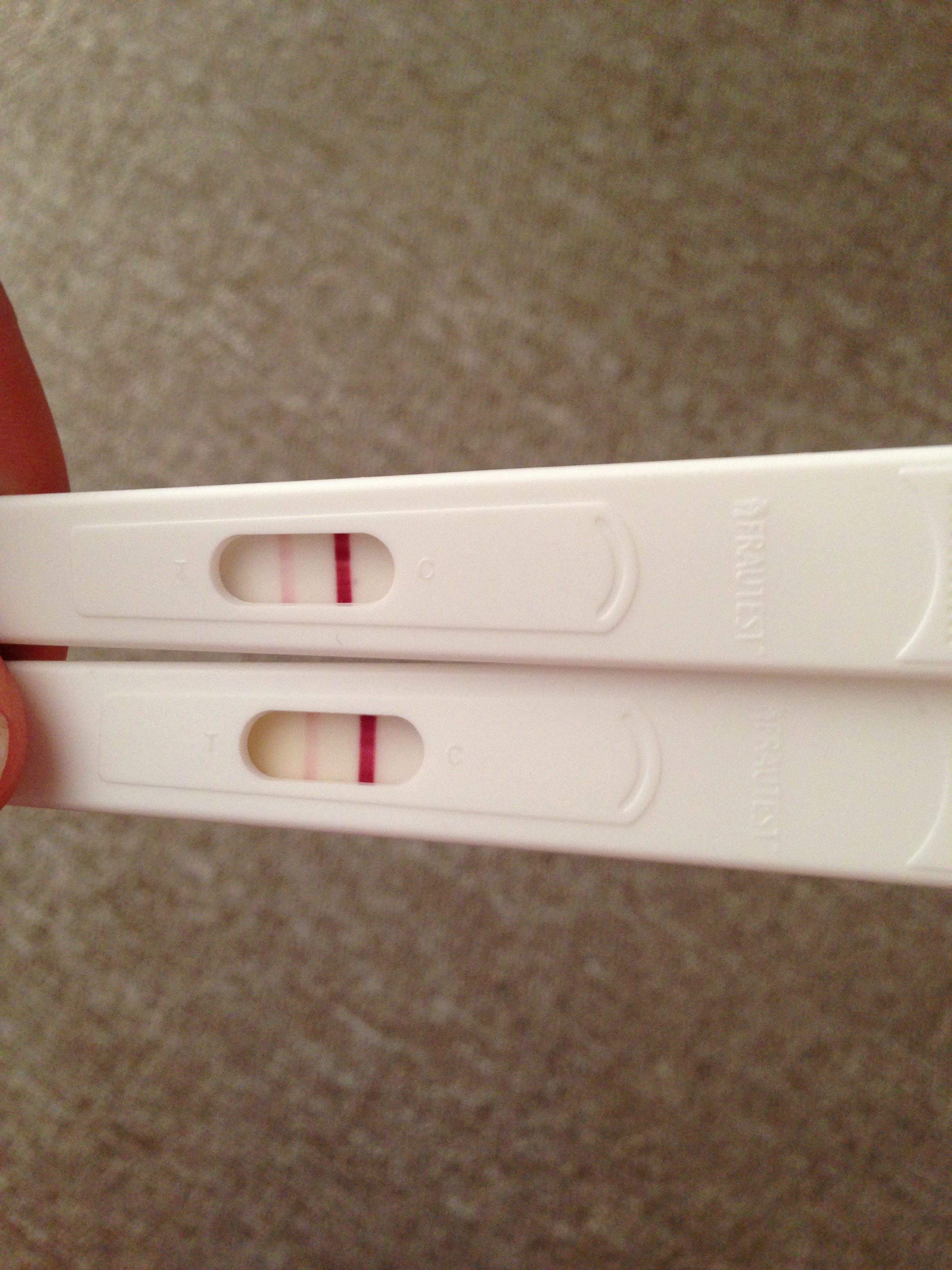 Very Faint Positive Pregnancy Test Page 2 — MadeForMums Forum