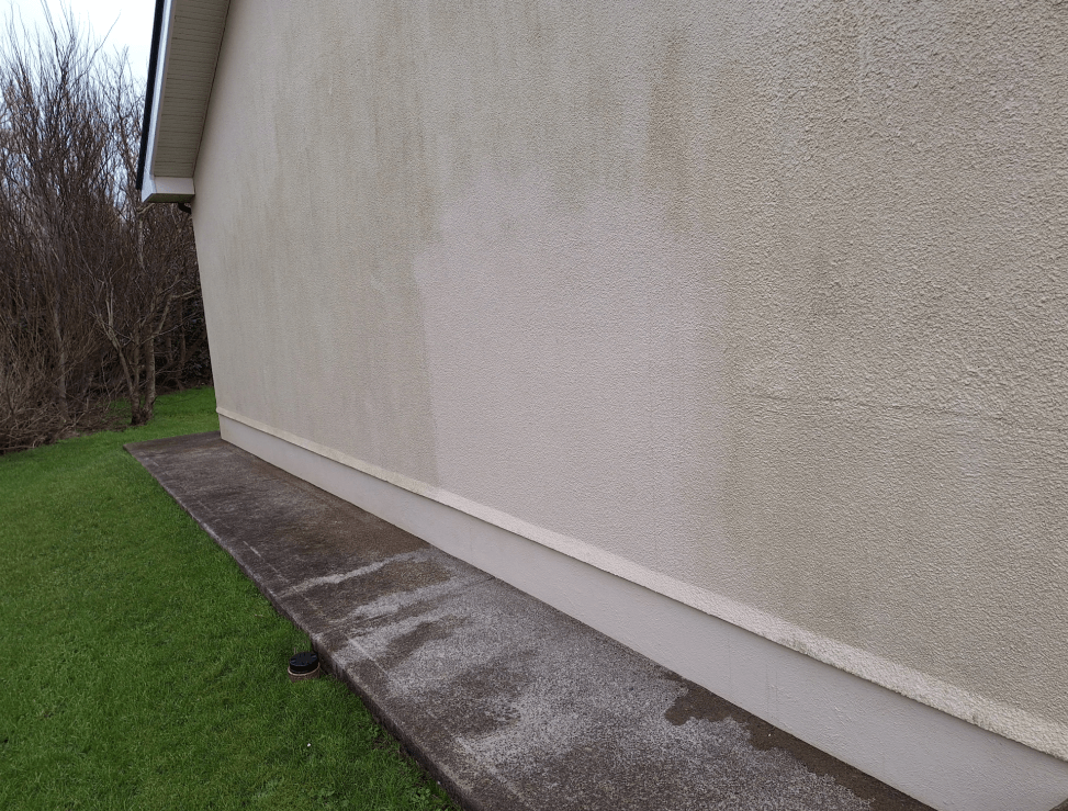 Removing Green Algae(?) from an exterior wall. ??? boards.ie Now Ye're