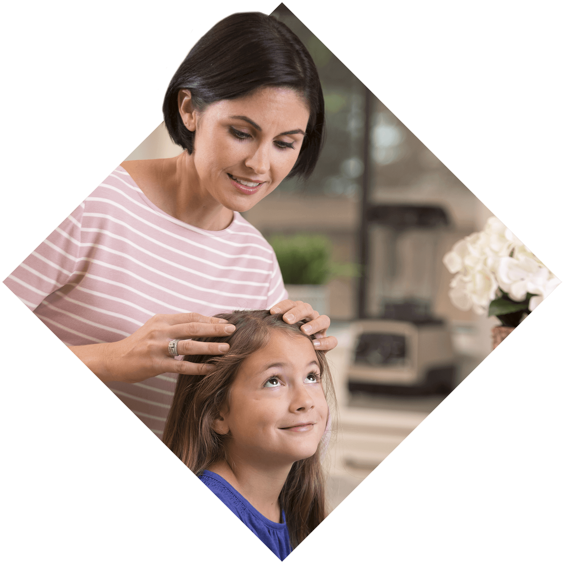 Vamousse Lice Products, Effective & PesticideFree Lice Treatment