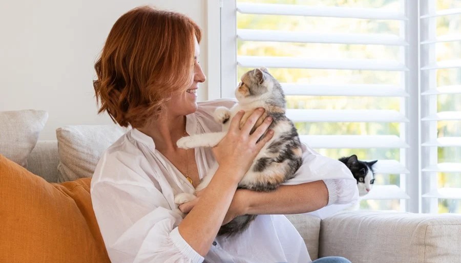 Gingivitis in cats symptoms causes &amp; treatments ZIWI US