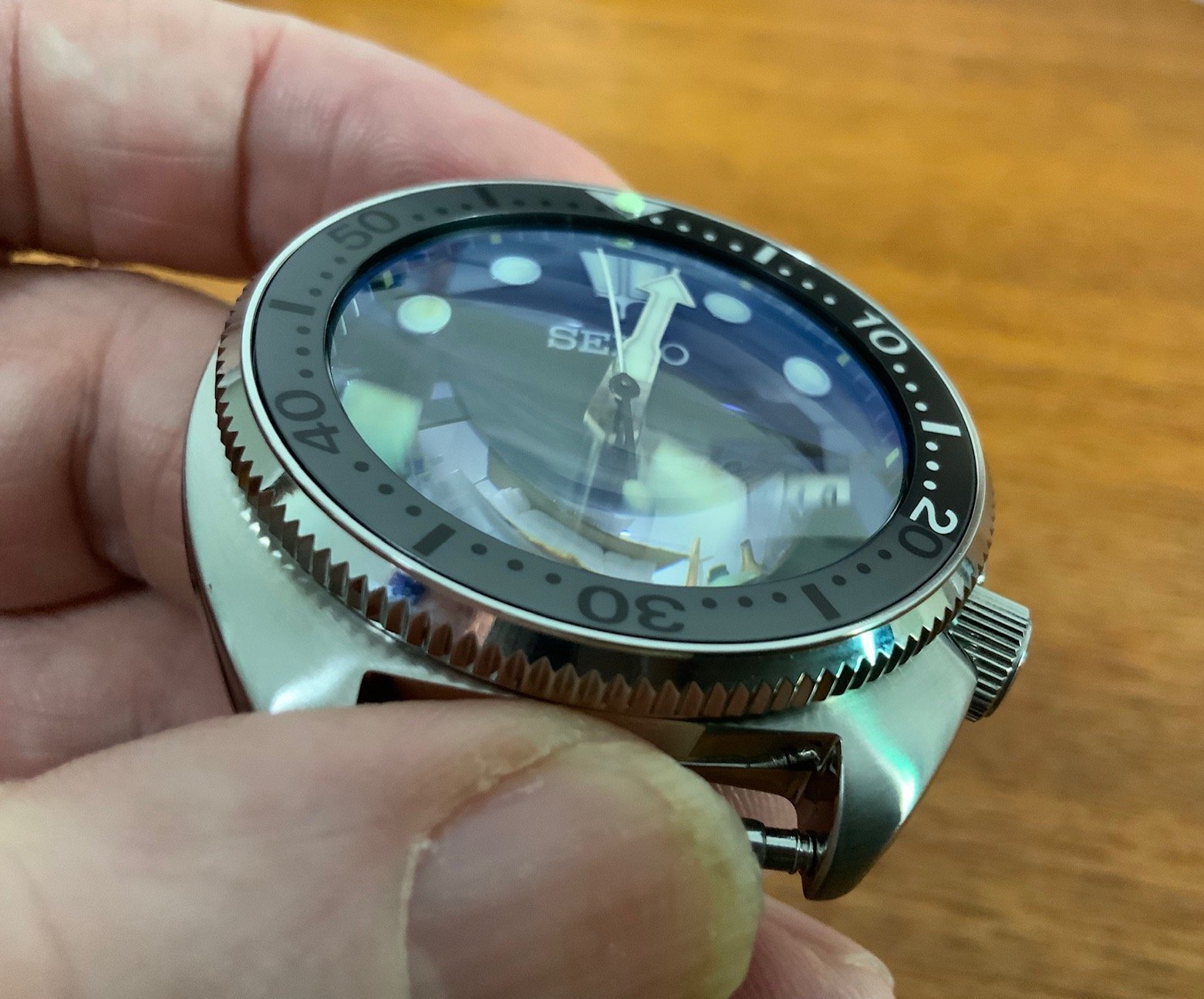 SRP Turtle Single Dome Sapphire Crystal Crystaltimes USA CT125