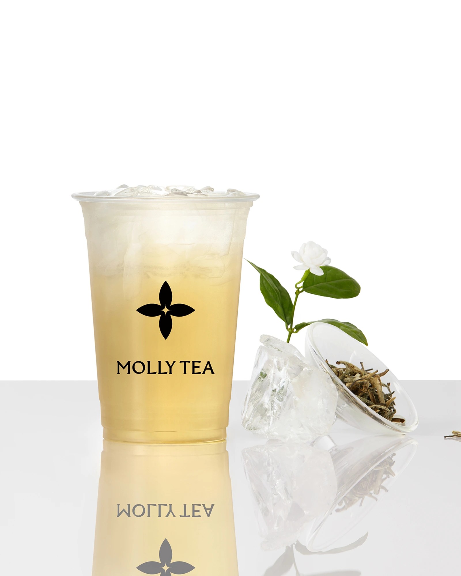 Product Categories Mollytea