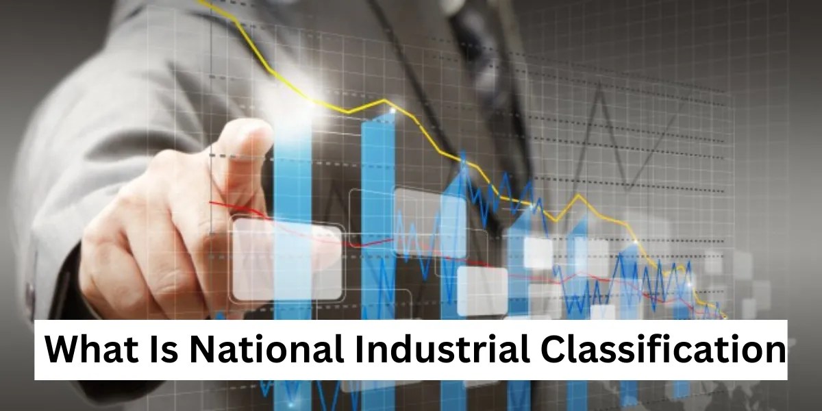 Understanding the National Industrial Classification System