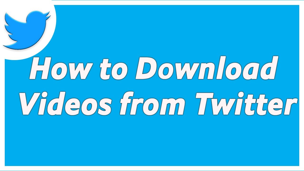How to download a video from twitter USA Business Paper PR