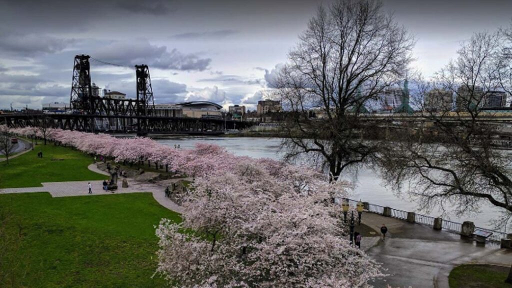 10 Cloudiest Cities in the US [Update 2024]