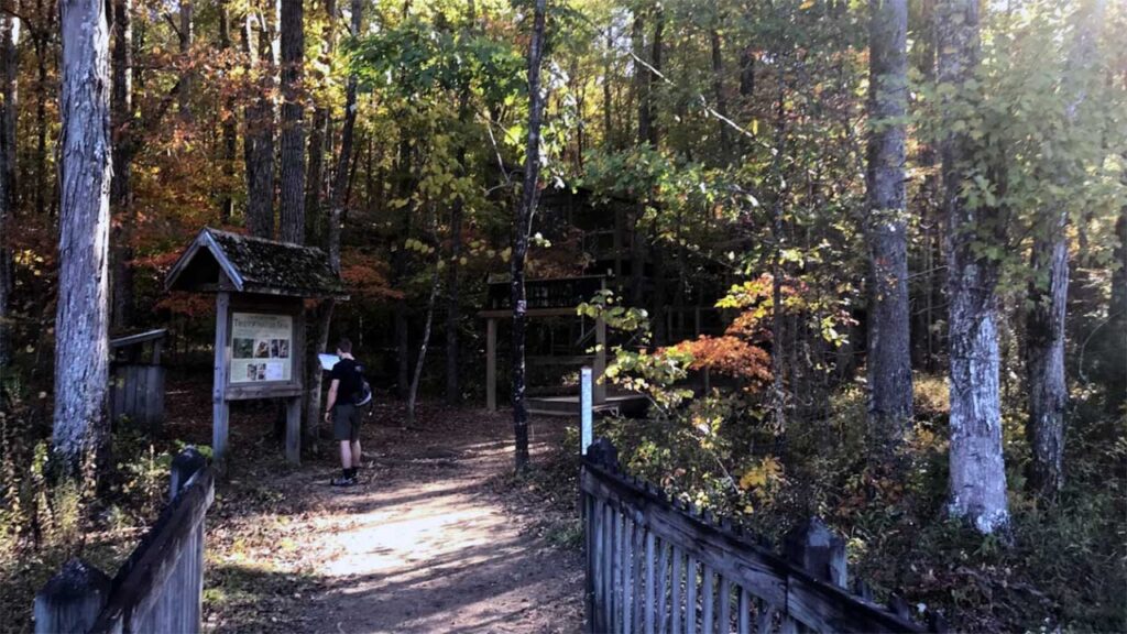 12 Best Hiking Trails in Alabama [Update 2024]