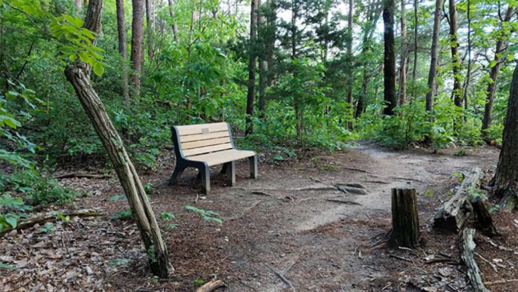 12 Best Hiking Trails in Alabama [Update 2024]