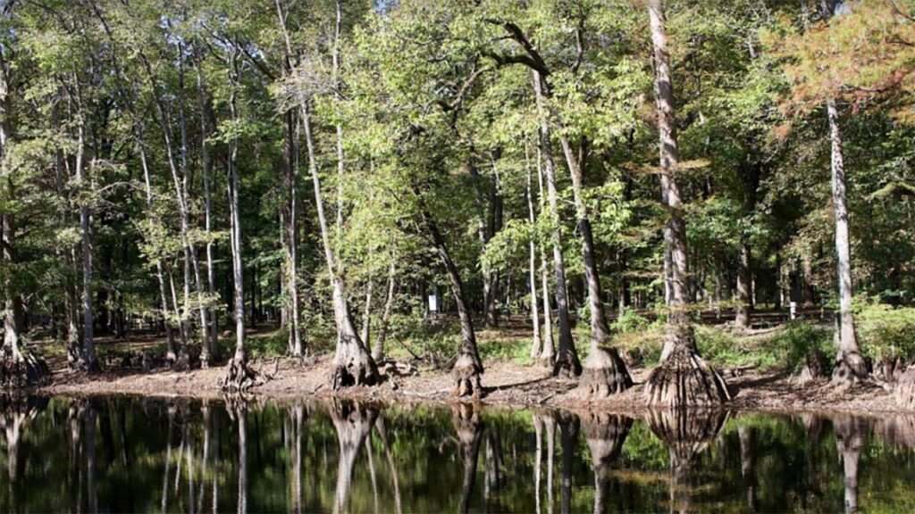 10 Best Fishing Lakes in Alabama [Update 2022]