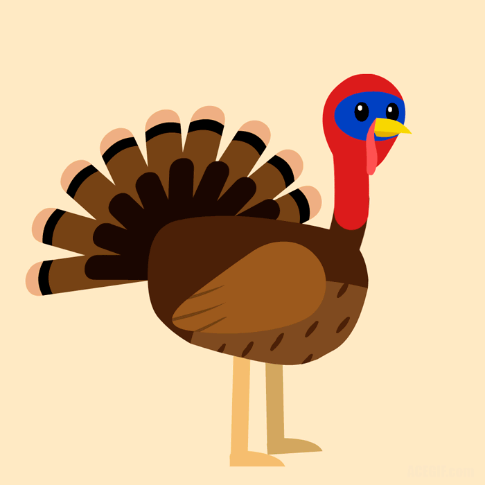 Turkey Meme Gif