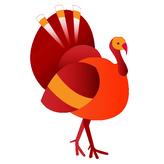 Turkey GIFs Top 73 Animated Images of These Birds