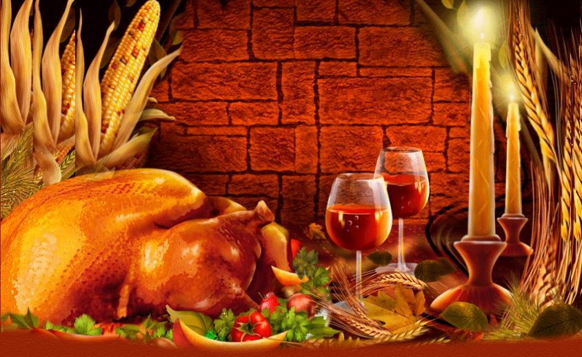 Turkey GIFs Top 73 Animated Images of These Birds