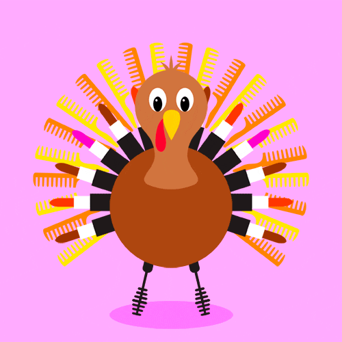 Turkey GIFs Top 73 Animated Images of These Birds