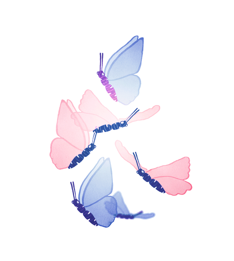 Beautiful Butterflies GIFs