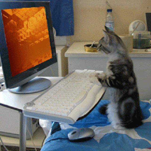 Typing Gifs