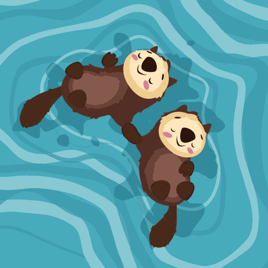 Castori sulle GIF. 80 immagini animate di questi animali