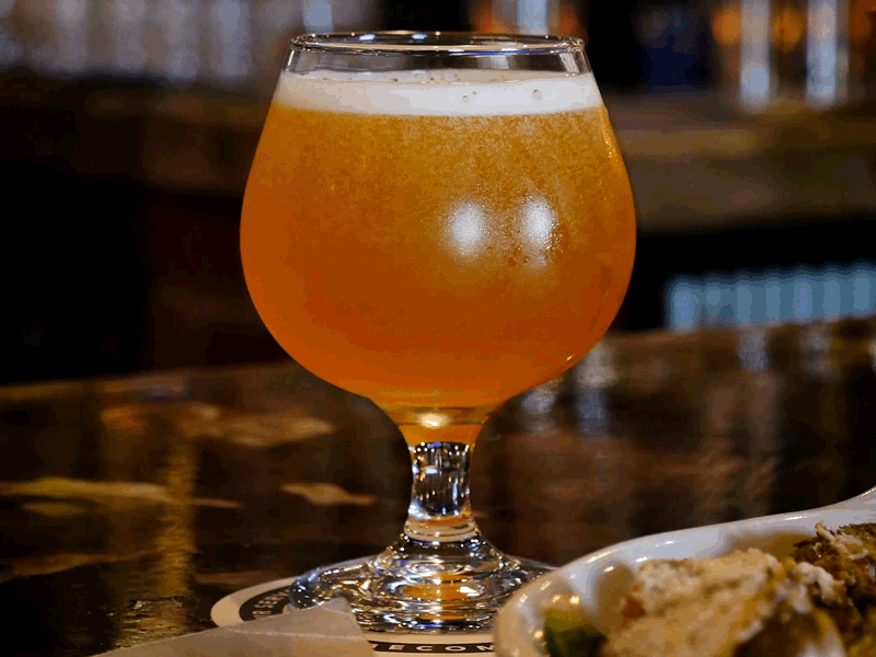 Beer GIFs Over 100 Animated Images of This Drink