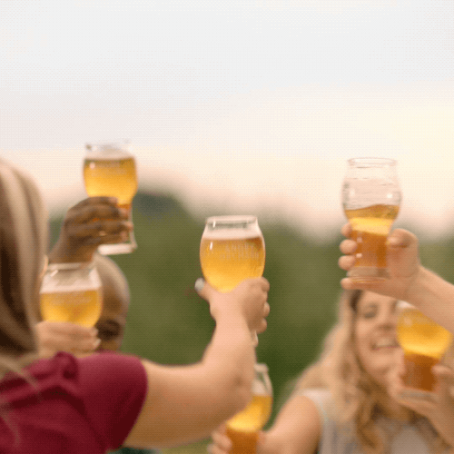 Beer GIFs Over 100 Animated Images of This Drink